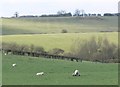 Farmland south of Oakham Road