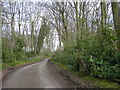 Lane from Alkmund Park Farm