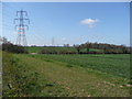 Farmland at Wymondley