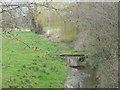 Footbridge over the stream