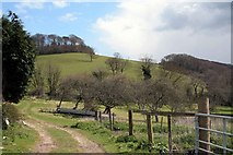 SX1156 : Farm track by St Winnow by roger geach