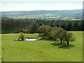 A dew pond on Hoyland Hill