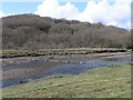 Stepping stones over the Cresswell