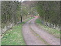 Farm track from Bonemill Bridge