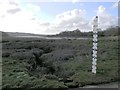 Sea level road sign