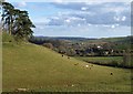 Hillside below Buttshill Cross