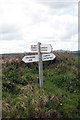 Signpost on the Lerryn Road