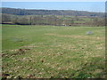 Grazing land at Hillhouse Farm