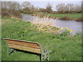 River Parrett at bankful discharge