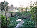 Bridge over Cherry Hinton Brook, looking towards allotments