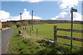 Sheep pasture in Spring at Gamble Lane, Woodmancote