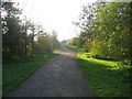 Lea Valley Park, Turnford Brook