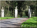 Gateway to Auberies, through the woods