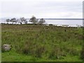 Lough Neagh