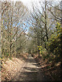 Downhill towards Quakers Wood