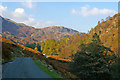 NY3100 : The road to High Tilberthwaite, Yewdale by Phil Champion