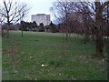 Looking into Dalmuir golf course from Mountblow Road