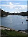 SW7527 : View down the creek from Porth Navas quay by Rod Allday