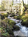 Footbridge over the stream in the woods below Comfort