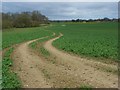 Farmland near Hungerford