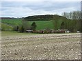 Farmland, Shalbourne