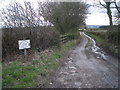 Driveway to Firs Farm