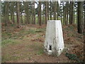 Shirlett Common trig point