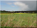 View across fields from Denstroude Lane