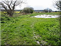 Field entrance off Denstroude Lane