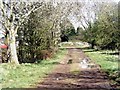 Trackbed of former railway between Pulborough - Fittleworth