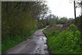 Towards Hurst Green