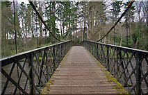 NS8246 : Valley International Park - Looking Across Bridge by M22RDY
