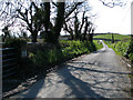 J5865 : Ballybryan Road near Kirkubbin by Rossographer