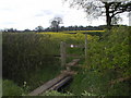 Stile to a field of Oilseed Rape