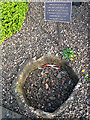 The stone base of the old Mercat Cross at Denholm