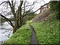 Footpath next to the River Ayr