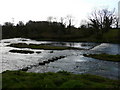 Looking across the River Ayr