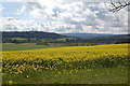 Farmland near Trostrey