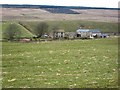 Saughy Rigg Farm