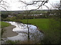 River Teifi and Pentrecwrt