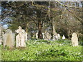 Cemetery at Kenwyn Church