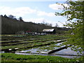 TQ0299 : Watercress beds by Mark Percy