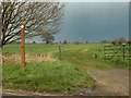 Public footpath to Broomfield from Chignall Road