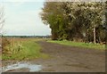 Part of the Essex Way bridleway by the A1060 road