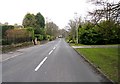 Looking down Adel Lane