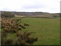 Kiltest Townland