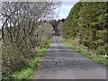 Road at Cam Forest