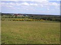 Boleran Townland