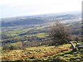 Rose Gerlan Cottages Rowen from the slope of Tal y Fan