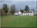 The Daffodil Way approaches the Beauchamp Arms